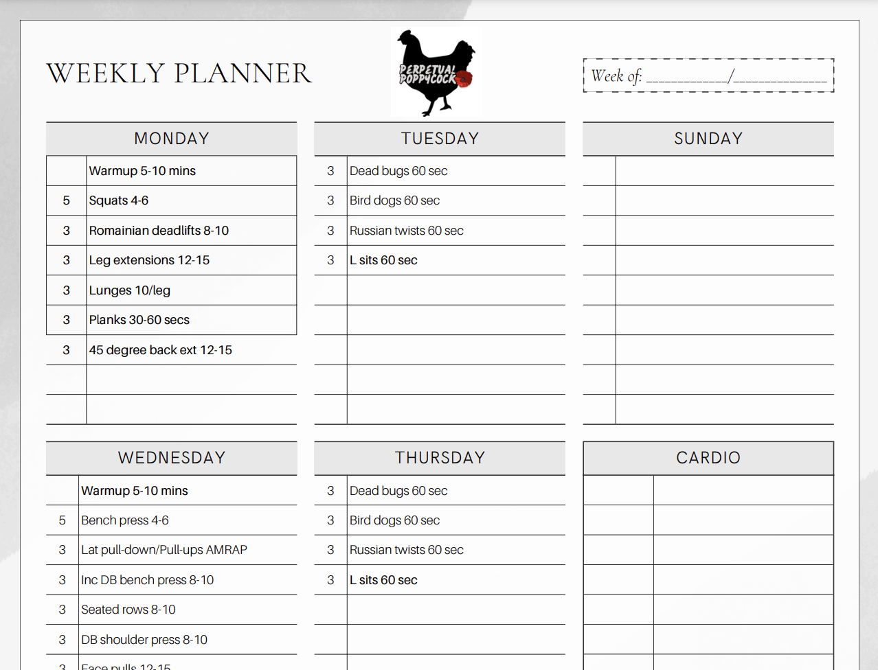 12 week planner, plan